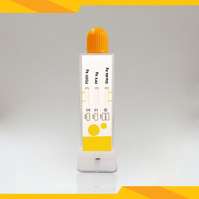 کیت آزمایش آنتی ژن مدفوع گربه برای FCoV+FPV+Giardia Lamblia تمیز و بدون آلودگی